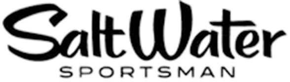 Placeholder Logo
